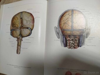 Atlas anatómie človeka I, II, III diel--1975-Kiss Ferenc, Sz - 11