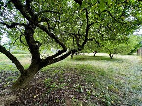 BOHDANOVCE - POSCHODOVÁ DREVENÁ CHATA, UPRAVENÝ POZEMOK. - 11