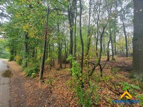 Vaša oáza pokoja: Stavebný pozemok kúsok od jazera Počúvadlo - 11