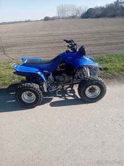 Yamaha Warrior 350 - 11