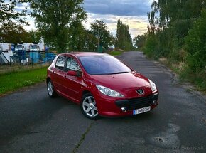 Peugeot 307 180 Platinum - 11