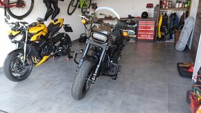 Harley Davidson Fat Bob 114 - 11