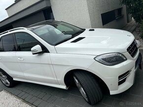 Mercedes-Benz ML 250 BLUETEC 4MATIC - 11