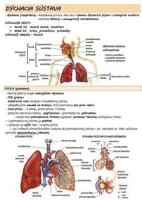 Fyzioterapia, medicína prijímačky KOMPLET - 11