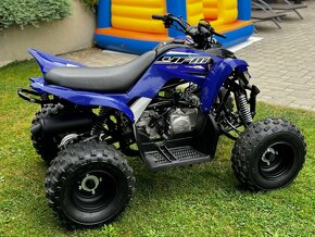 Yamaha Raptor 90 - 11