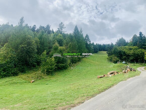 Predaj pozemok na rekreačné účely, 1552 m2, Šindliar - 11