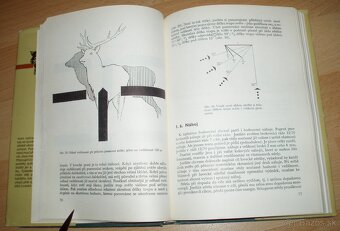 Lovecká střelba - 11