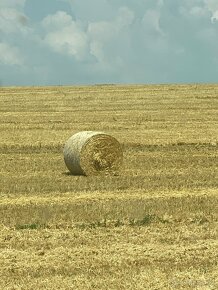 Slama a lucerka pre zvieratá - 11