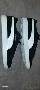 Puma - 11