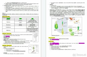 Maturitné zadania z BIOLÓGIE (30 zadaní) - 11