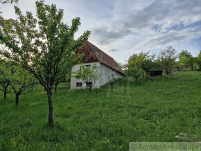 Viničný dom a vinica so vzácnou morušou v Devičanoch - 11