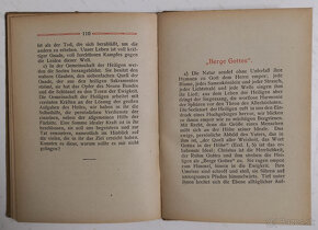 Der König dem alle leben 1919 - 11