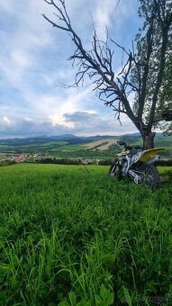 Suzuki rmz 250 2018 - 11