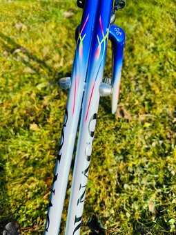 Colnago Master Bititan Art Decor - 11