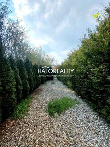 HALO reality - REZERVOVANÉ - Predaj, rodinný dom Orešany, s  - 11