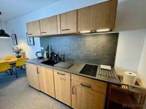 Veľkometrážny 3-izbový mezonetový apartmán-Bešeňová - 11