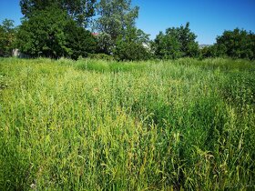 Kosenie trávy čistenie pozemkov mulčovanie, kosenie - 11