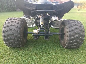 Can am dsx 90 - 11