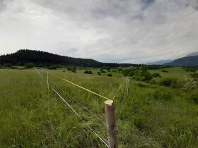 Ustajnenie,výcvik,preprava,ošetrenie koni-dornovou metódo - 11