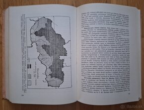 Dejiny Slovakov a Slovenska od najstarsich cias az po... - 11