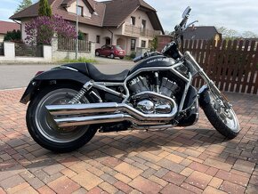 Harley Davidson - 11