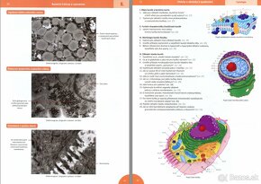 učebnice anatómie - medicína - 11