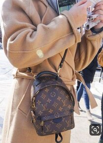 Louis Vuitton Backpack Palm Spring Mini monogram - 11