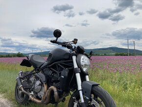 Ducati Monster 821 - 11