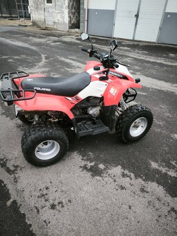 Polaris Phoenix 200. rv2011.Tp,špz - 11