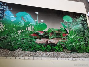 Akvarium s príslušenstvom - 11