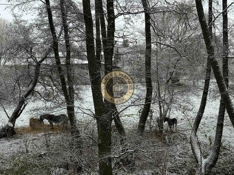 " TOP " Novostavba RD na  na kľúč Košice - okolie, Ždaňa,  - 11