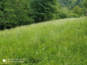 Predaj: Tradičná drevenica v obci Oščadnica(026-CH) - 11