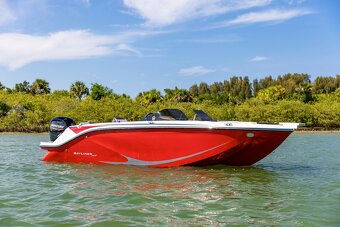 BAYLINER M19 + MERCURY F 115 EFI ELPT - 11