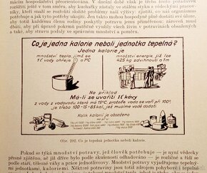 Starožitná Zlatá kniha pro praktickou hospodyňku, rok 1928 - 11
