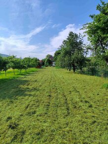 Rodinný dom s veľkým pozemkom - Dohňany - 11