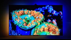 TCL 65C739 QLED UHD TV + GOVEE BACKLIGHT + záruka 38mes. - 11