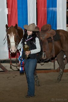 Quarter horse/appaloossa kobyla - 11