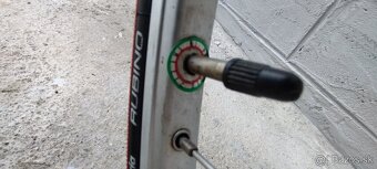 CAMPAGNOLO / Olmo retro - 11