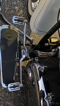 Harley Davidson Softail 110” - 11