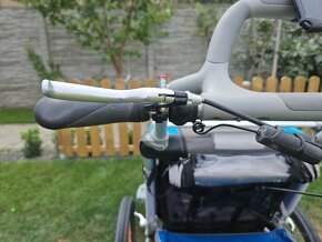 Thule Chariot CX 1 Blue - 11