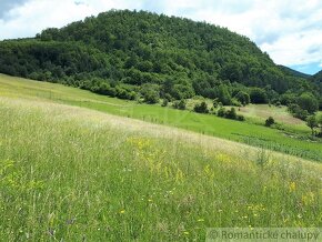 VÄČŠÍ POZEMOK S VÝHĽADOM NAD OBCOU ZÁSKALIE PRI POVAŽSKEJ - 11