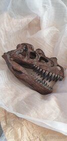 Replika lebky dinosaura Ceratosaurus Múzejná kvalita, 20cm - 11