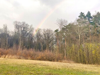 Výnimočný pozemok pod lesom, Malá Ida (Panský les) - 11