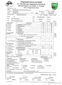 Nemecký drôtosrstý stavač - 11