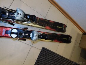 Salomon Pilot 155 cm - 11