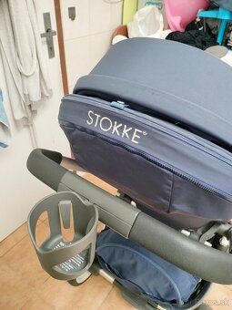 Stokke cruzi - 11