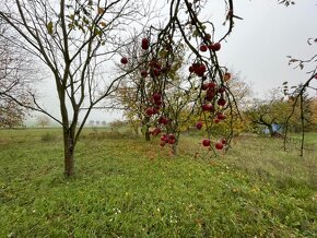 Na predaj pozemok pod mobilný dom so sadom Dolné Sŕnie - 11