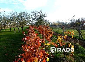 RADO | Vinohradnícky domček s pozemkom v meste Skalica - 11