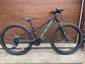 Specialized rockhopper - 11