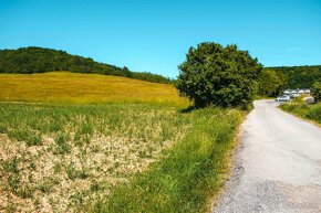 Beckov – 20.000 m2 v celku (Farma, Chov koní...) - 11